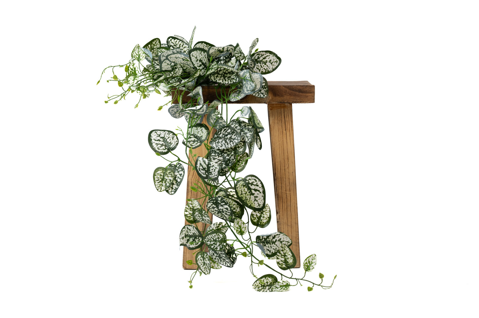 Fittonia Artificiel Chute - Phocealys Grossiste végétaux artificiels