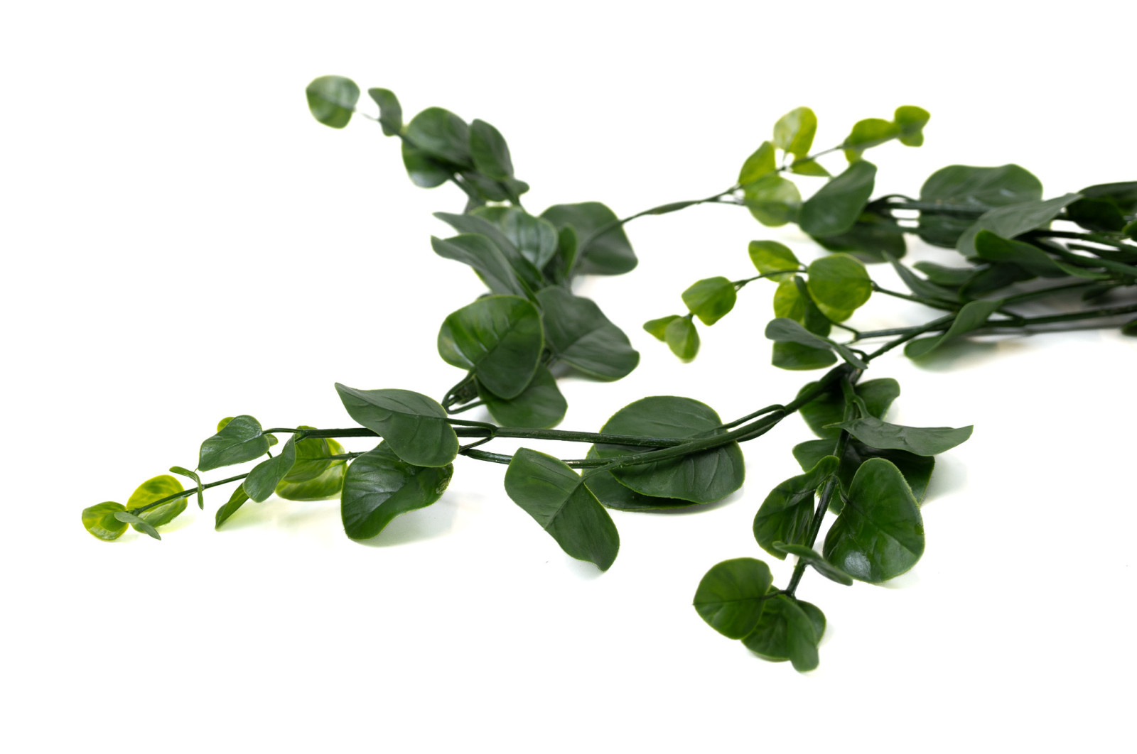 PHOCEALYS│Eucalyptus Artificiel Guirlande UV│Grossiste en déco végétale