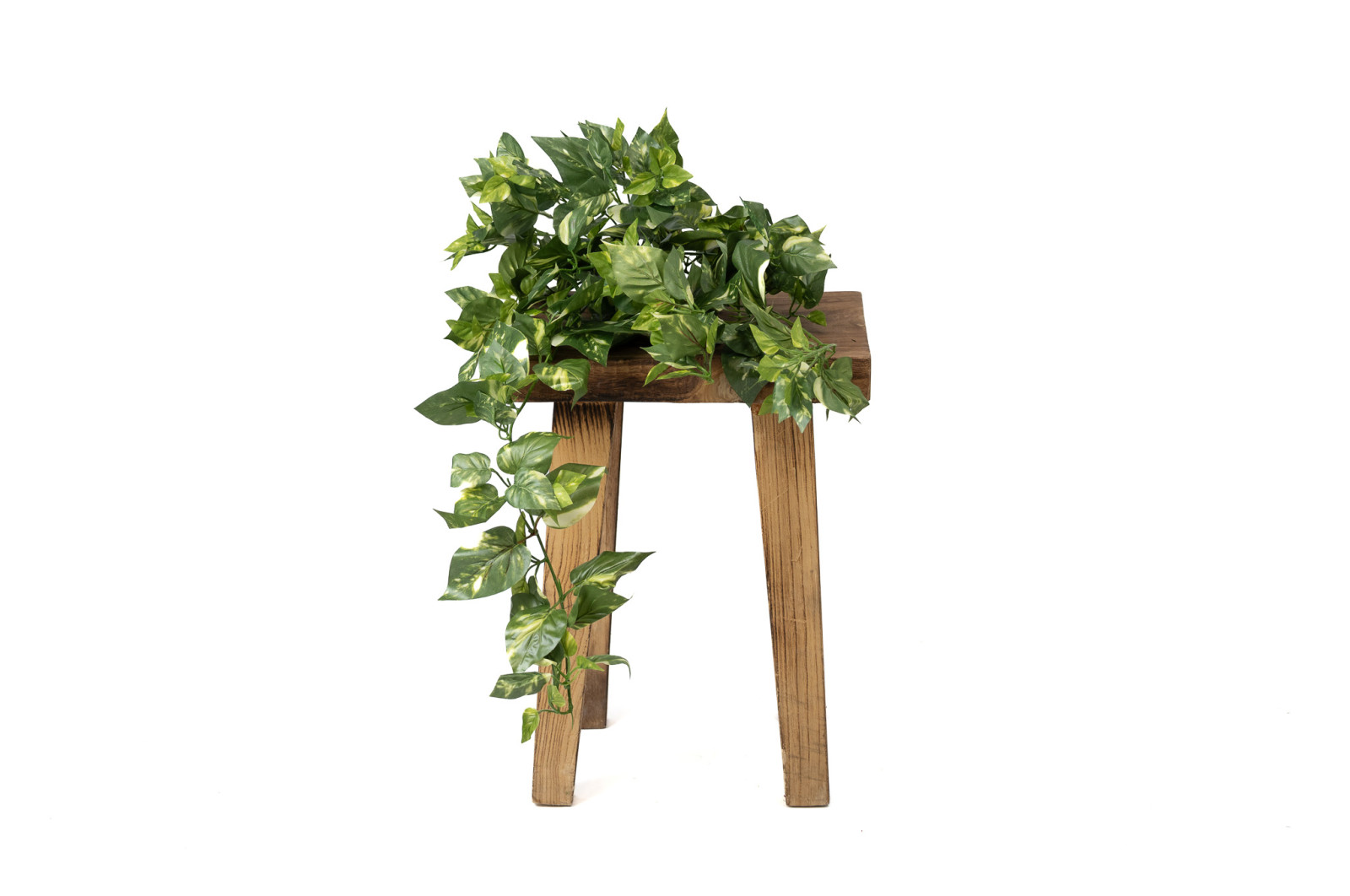 Chute de Pothos mini artificiel - Phocealys Grossiste végétaux artificiels