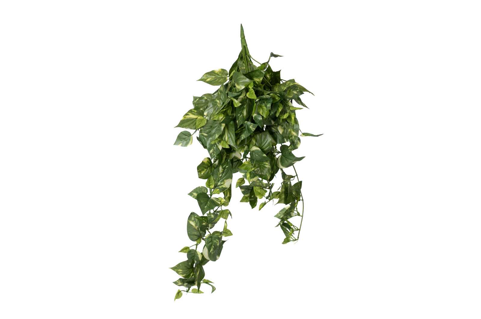 Chute de Pothos mini artificiel - Phocealys Grossiste végétaux artificiels