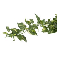 Chute de Pothos mini artificiel - Phocealys Grossiste végétaux artificiels