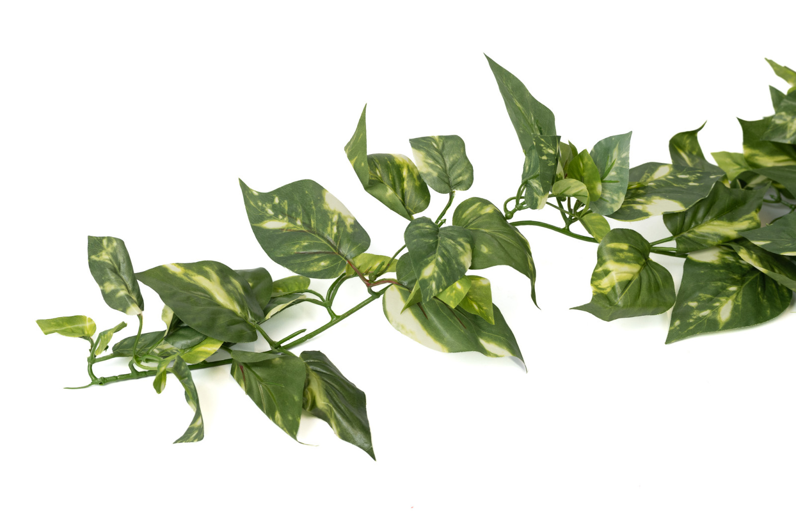 Chute de Pothos mini artificiel - Phocealys Grossiste végétaux artificiels
