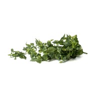 Chute de Pothos mini artificiel - Phocealys Grossiste végétaux artificiels