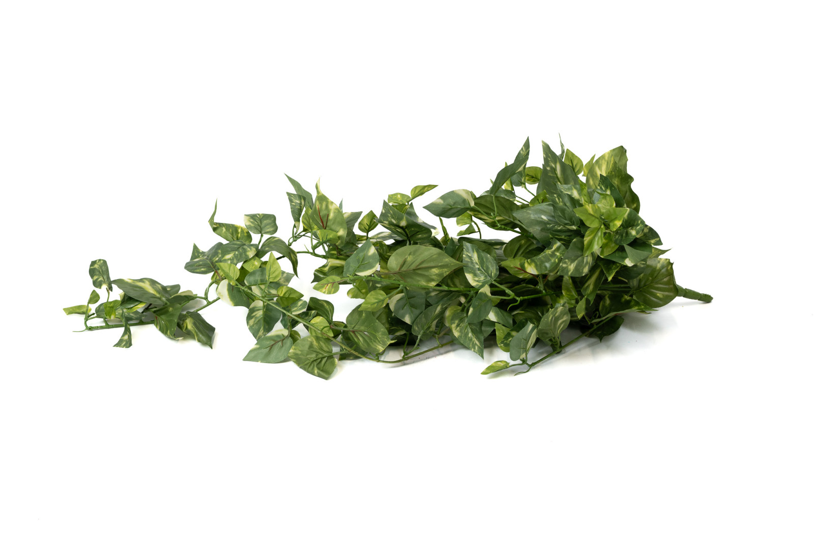 Chute de Pothos mini artificiel - Phocealys Grossiste végétaux artificiels