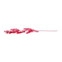 Ruscus stabilisé│vente aux pros│Grossiste en végétaux stabilisées