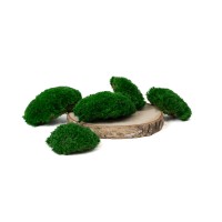 PHOCEALYS│Mousse boule stabilisée ignifugée│vente aux pros│Grossiste