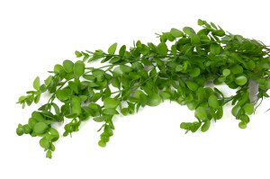 Chute d’eucalyptus artificiel | Phocealys grossiste | Prix compétitifs