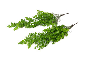 Chute d’eucalyptus artificiel | Phocealys grossiste | Prix compétitifs