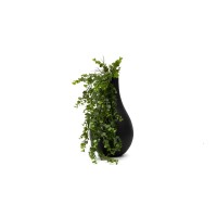 Chute d’eucalyptus mini artificiel | Phocealys grossiste | Prix compétitifs
