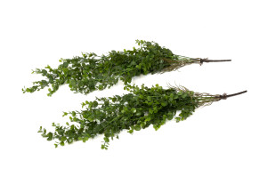 Chute d’eucalyptus mini artificiel | Phocealys grossiste | Prix compétitifs