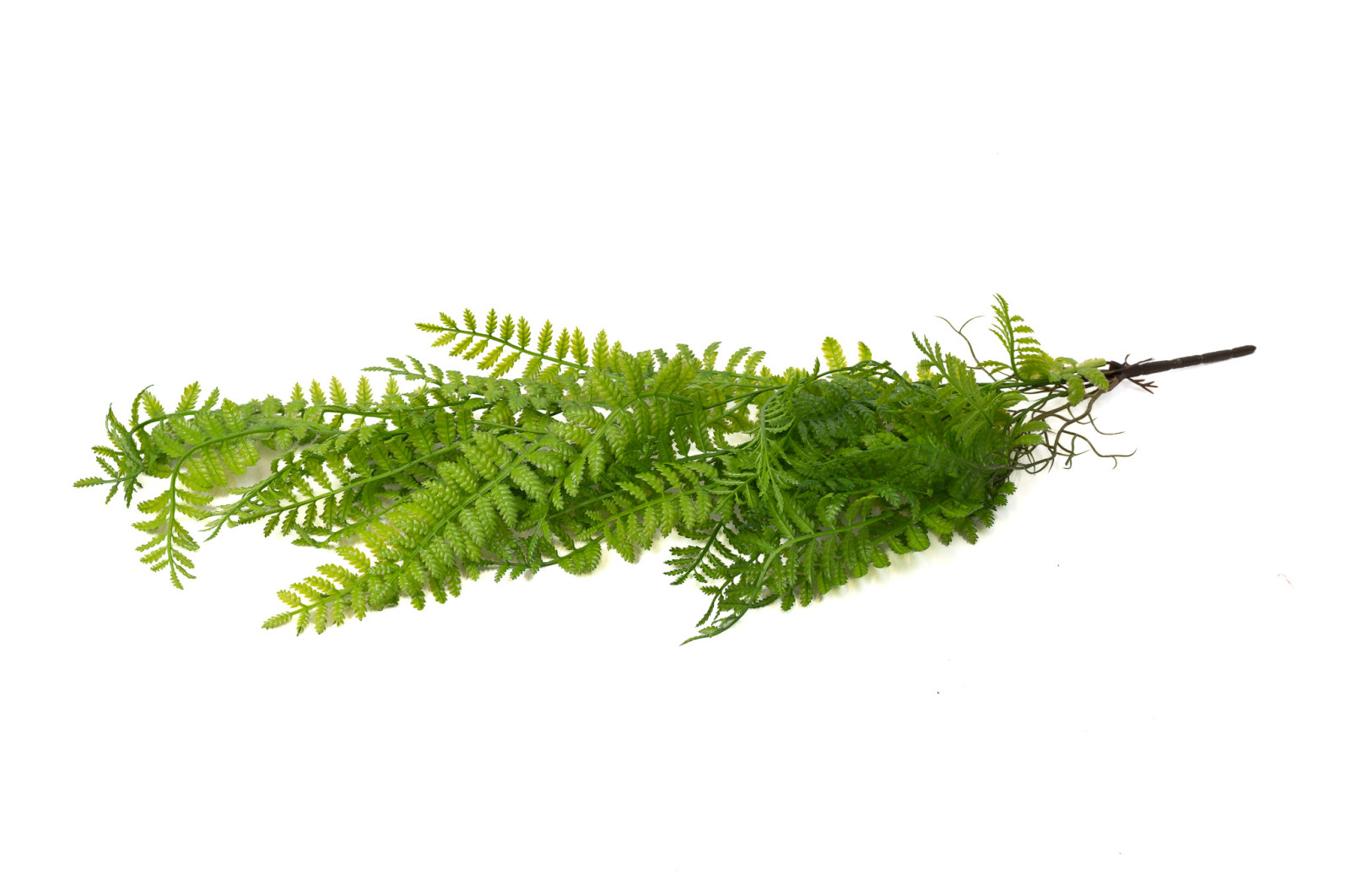 Chute de corn fern artificielle - Phocealys Grossiste déco végétale