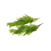 Chute de corn fern artificielle - Phocealys Grossiste déco végétale