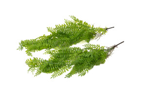 Chute de corn fern artificielle - Phocealys Grossiste déco végétale