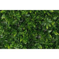 PHOCEALYS│Panneaux végétaux artificiels│vente aux pros│Grossiste