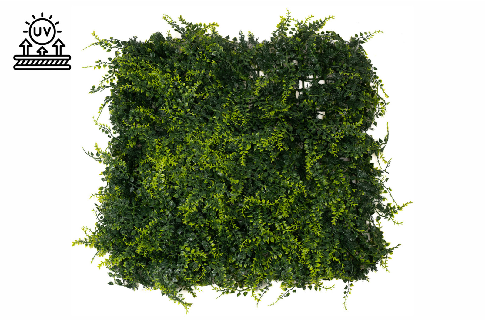 PHOCEALYS│Panneau Fougère artificielle│Grossiste végétaux artificiels