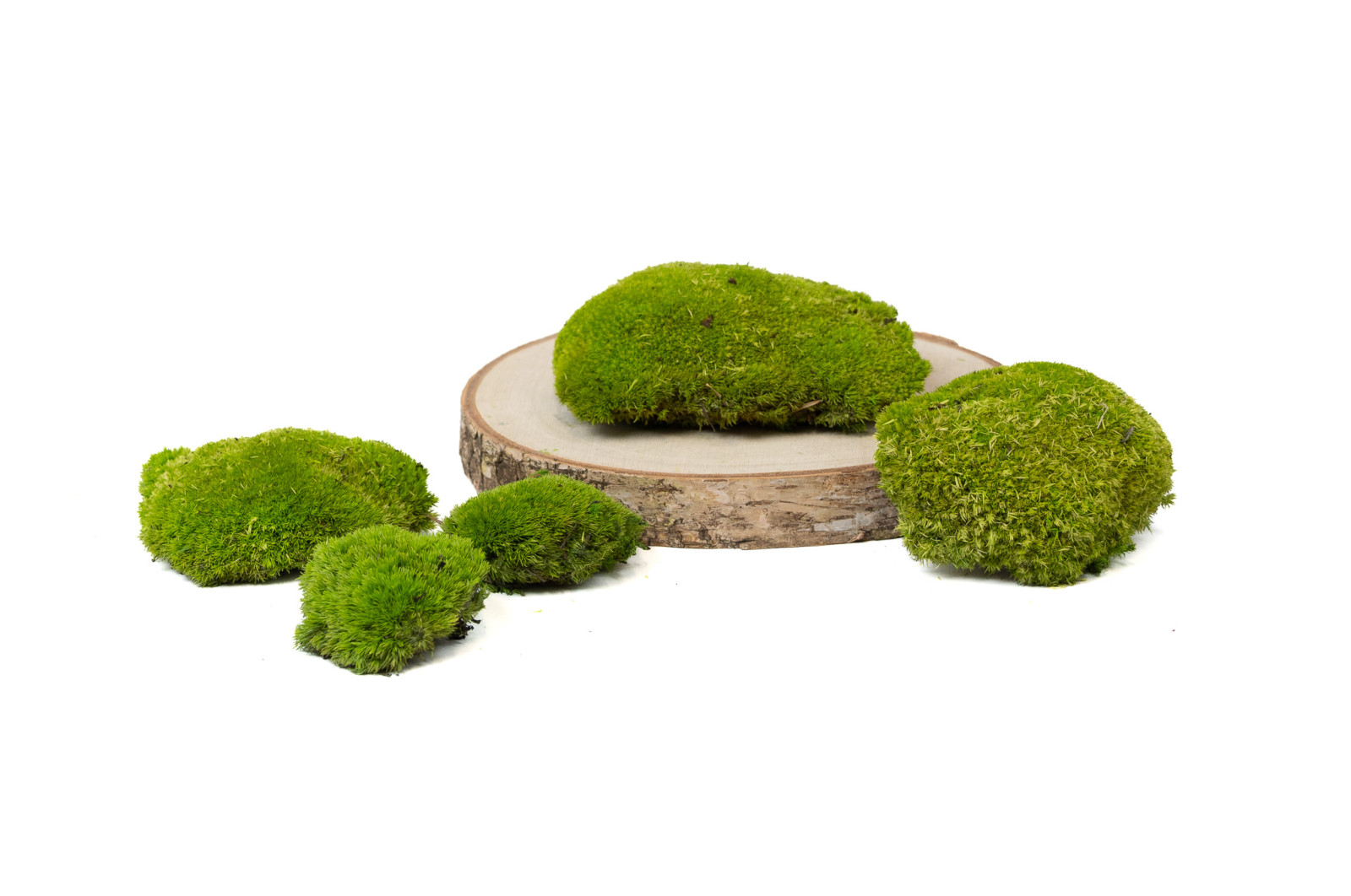 PHOCEALYS│Mousse boule stabilisée ignifugée│vente aux pros│Grossiste