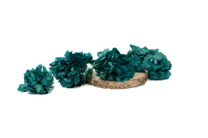 PHOCEALYS │Hortensia stabilisé en branches│vente aux pros│Grossiste