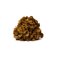 PHOCEALYS│Hortensia stabilisé│vente aux pros│Grossiste en végétaux stabilisées