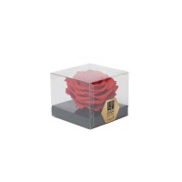 PHOCEALYS │Têtes de roses stabilisées  XXL - 1 tête│vente aux pros│Grossiste