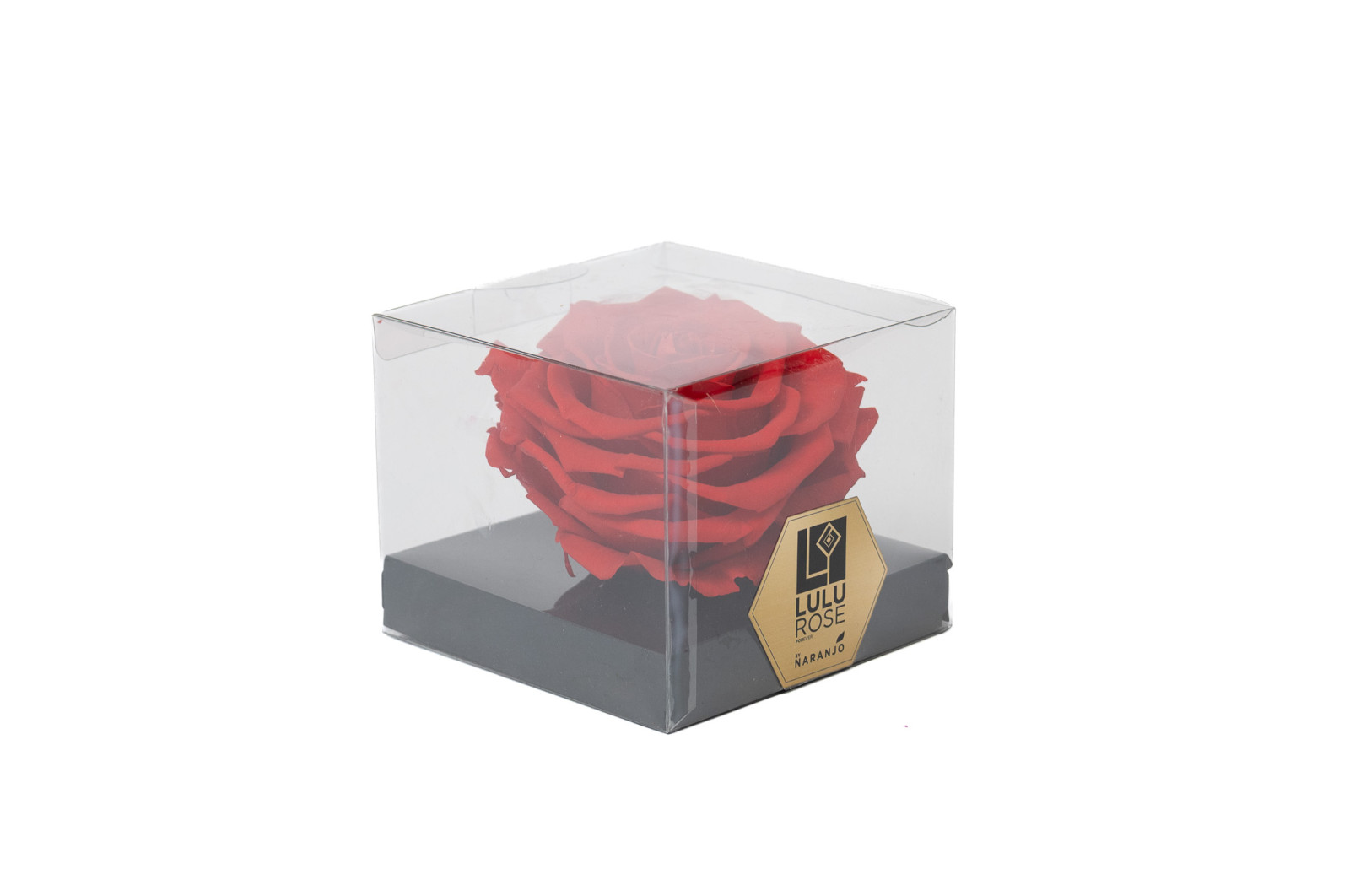 PHOCEALYS │Têtes de roses stabilisées  XXL - 1 tête│vente aux pros│Grossiste