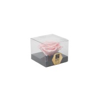 PHOCEALYS │Têtes de roses stabilisées  XXL - 1 tête│vente aux pros│Grossiste