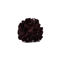 PHOCEALYS│Hortensia Kiara stabilisé Ø 10-14 cm│vente aux pros│Grossiste en végétaux stabilisées