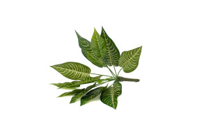 PHOCEALYS│Aphelandra Artificiel│vente aux pros│Grossiste en végétaux artificiels