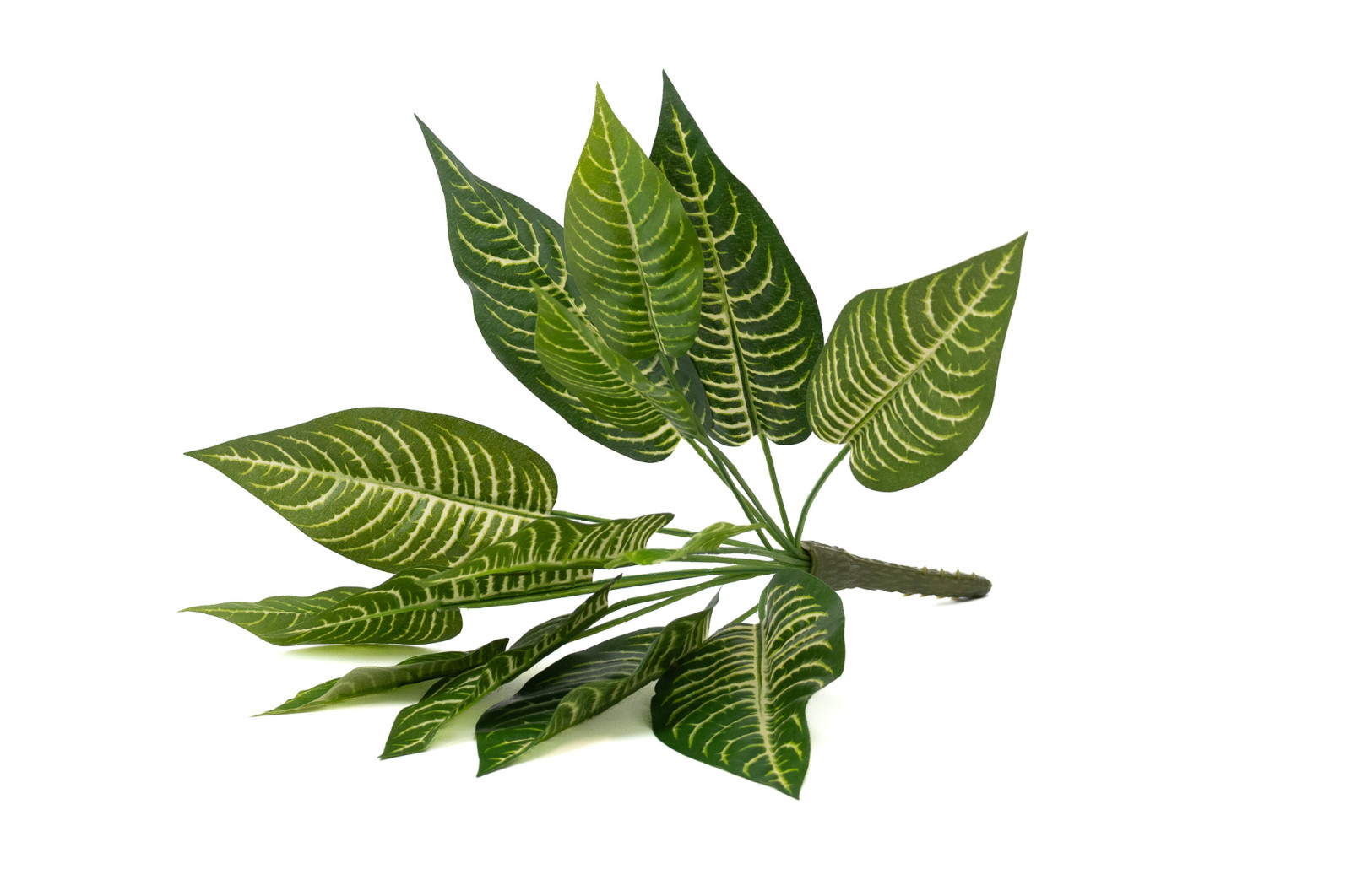 PHOCEALYS│Aphelandra Artificiel│vente aux pros│Grossiste en végétaux artificiels