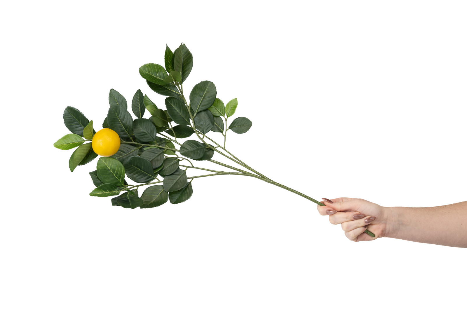Citronnier artificiel - Feuillage | Phocealys