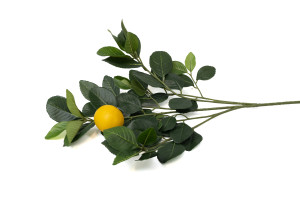 Citronnier artificiel - Feuillage | Phocealys