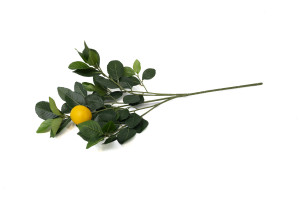 Citronnier artificiel - Feuillage | Phocealys