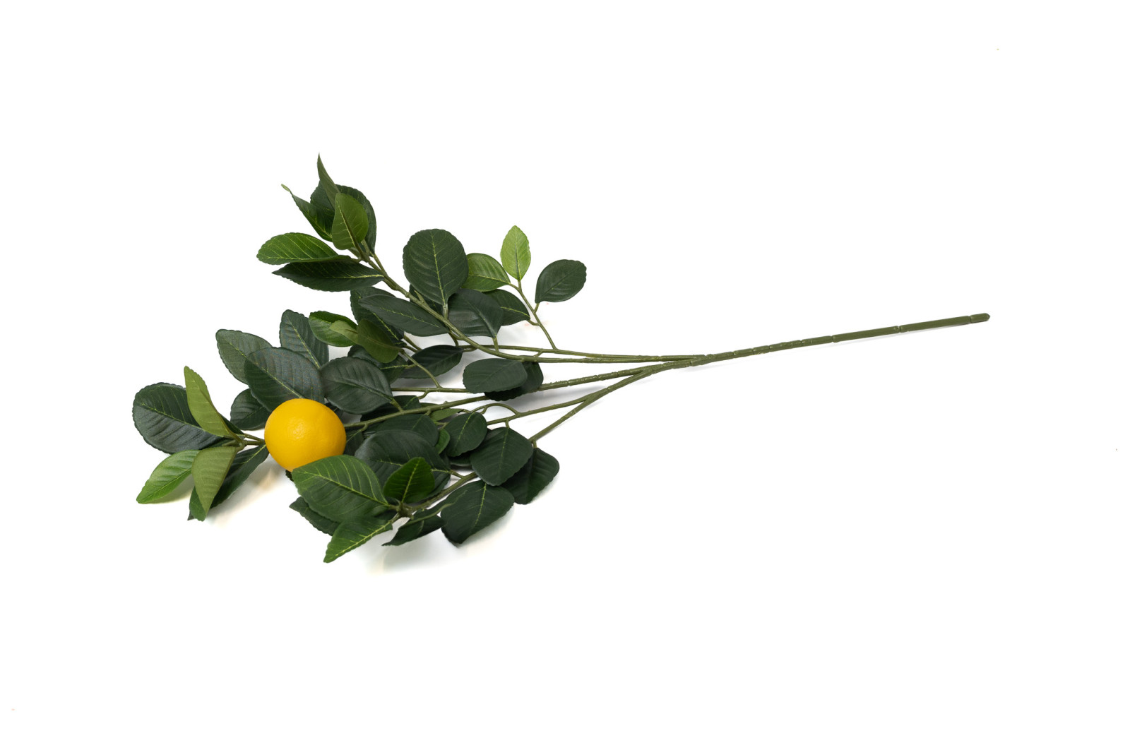 Citronnier artificiel - Feuillage | Phocealys