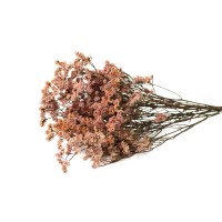 Limonium stabilisé│vente aux pros│Grossiste en végétaux stabilisées