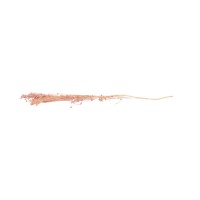 PHOCEALYS │Broom stabilisé│vente aux pros│Grossiste