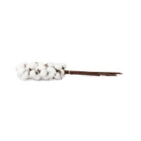 PHOCEALYS│Branches de coton sèches│vente aux pros│Grossiste en fleurs séchées