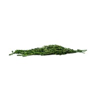 Buis stabilisé│vente aux pros│Grossiste en végétaux stabilisés