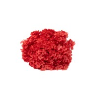Hortensia stabilisé Anna│vente aux pros│Grossiste en végétaux stabilisées