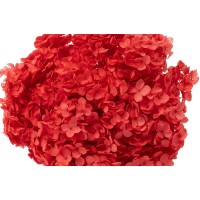 Hortensia stabilisé Anna│vente aux pros│Grossiste en végétaux stabilisées