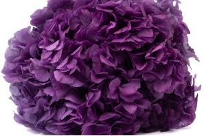 Hortensia stabilisé│vente aux pros│Grossiste en végétaux stabilisées