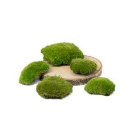 PHOCEALYS│Mousse boule stabilisée│vente aux pros│Grossiste