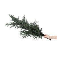 PHOCEALYS │Eucalyptus nicoly stabilisé │vente aux pros│Grossiste