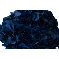 PHOCEALYS│Hortensia stabilisé│vente aux pros│Grossiste en végétaux stabilisées
