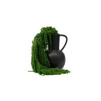 Amarante stabilisée│vente aux pros│Grossiste en végétaux stabilisées
