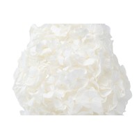 PHOCEALYS│Hortensia Kiara stabilisé Ø 14-20 cm│vente aux pros│Grossiste en végétaux stabilisées