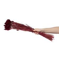 Phalaris sec│vente aux pros│Grossiste en fleurs séchées