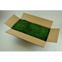 PHOCEALYS│Mousse lycopodium stabilisée│vente aux pros│Grossiste
