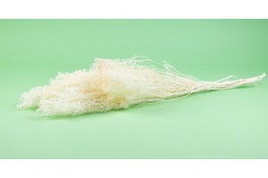 Broom sec blanc / crème vente en vrac Phocealys grossiste fournisseur pros
