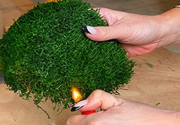 Sécurité incendie et décoration végétale en ERP : comprendre les obligations